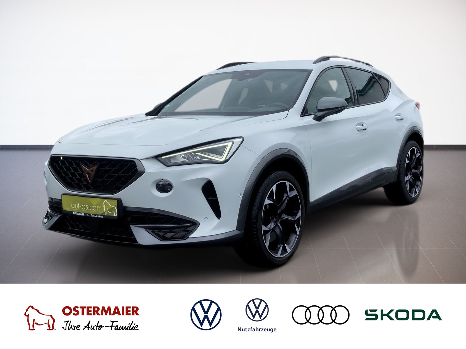 Cupra Formentor VZ 2.0 TSI 228kW DSG.LED.NAV.SHZ.MEMOR