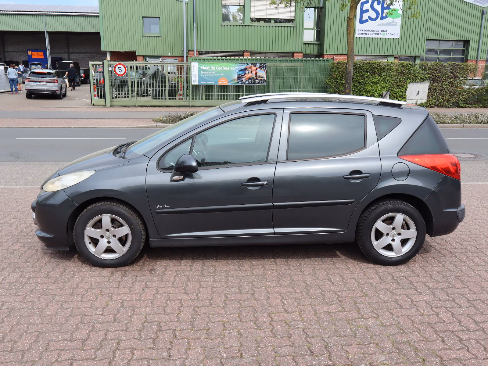 Peugeot 207 2009 — rear view