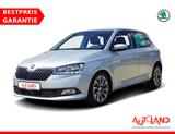 Skoda Fabia 1.0 Clever PDC ACC SmartLink Sitzheizung - Skoda Fabia bis 25.000 Euro