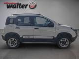 Fiat Panda Wild 4x4 0.9l Einparkhilfe - gebrauchte Fiat Panda aus dem Jahr 2024