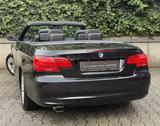 BMW 318Bmw 318i Cabrio Leder/PDC/Xenon/Shz/ - BMW 318: Cabrio, 318i
