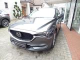 Mazda CX-5 SKYACTIV-G 194 Sports-Line AWD - gebrauchte Mazda CX-5 aus dem Jahr 2019