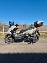 Honda NSS125 Forza - Service neu - wenig KM - HONDA FORZA 125