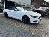 Ford Mustang 2.3 EcoBoost Cabrio* EU-Mod* - Ford Mustang: Ecoboost