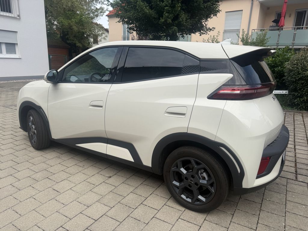 Image of BYD DOLPHIN SURF