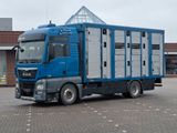MAN TGX 18.560 Viehtransporter 3.Stock von Menke - MAN Men