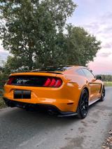 Ford Mustang 2.3 EcoBoost,Fastback,MagnaRide,Sport - Ford Mustang: Fast