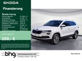 Skoda Karoq 1.5 TSI ACT DSG Clever - Skoda in Tübingen