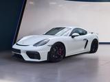 Porsche Cayman GT4 BOSE VTS Navi SHZ Kamera BiXenon - Porsche Cayman Jahreswagen