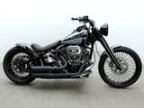 Harley-Davidson Softail Heritage Custom 103| Big Spoke| Kesstech - HARLEY-DAVIDSON 2010 HERITAGE SOFTAIL