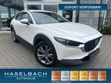 Mazda CX-30 SELECTION 360° Matrix BOSE Freisprech Klim - weiße Mazda CX-30