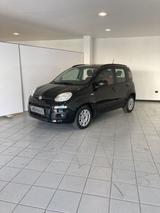 Fiat FIAT Panda Panda 1.2 Trussardi - Fiat Panda TRUSSARDI mit Benzin-Antrieb