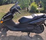 Yamaha Majesty  - YAMAHA MAJESTY