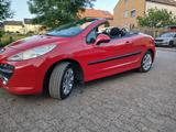 Peugeot 207 Cabrio  Top Zustand  TÜV neu... - Peugeot 207 in Bielefeld