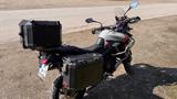 Triumph Tiger 900 Rally Pro - Triumph Tiger 900 Rally Pro