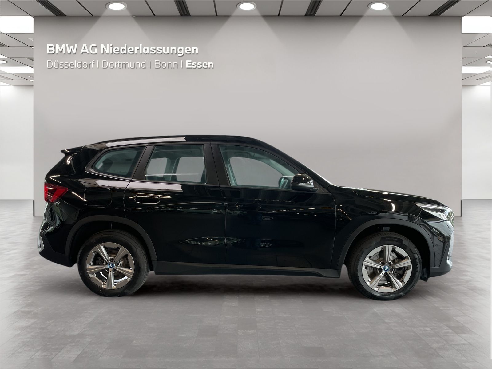 BMW X1 xDrive25e Kamera Driv.Assist foto 5