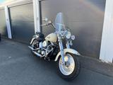 Harley-Davidson Softtail FXSTC Solidwheels Scheibe orig. 12k mls - Angebote entsprechen deinen Suchkriterien