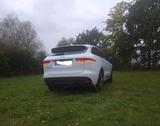 Jaguar F-Pace 25t AWD R-Sport Automatik R-Sport - Jaguar F-Pace von privat