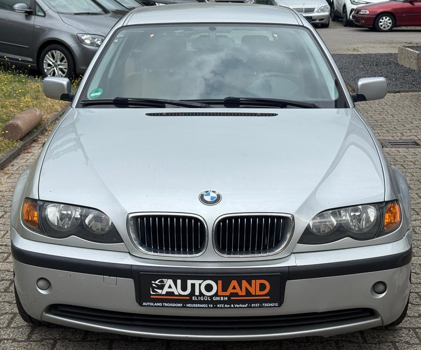 BMW 316 2004 — вигляд ззаду
