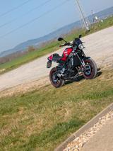 Yamaha XSR 900 + quickshifter  - YAMAHA XS