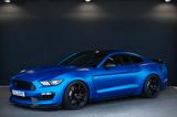 Ford Mustang SHELBY GT350 Track Package - EINZELSTÜCK - Ford Mustang: Gt350