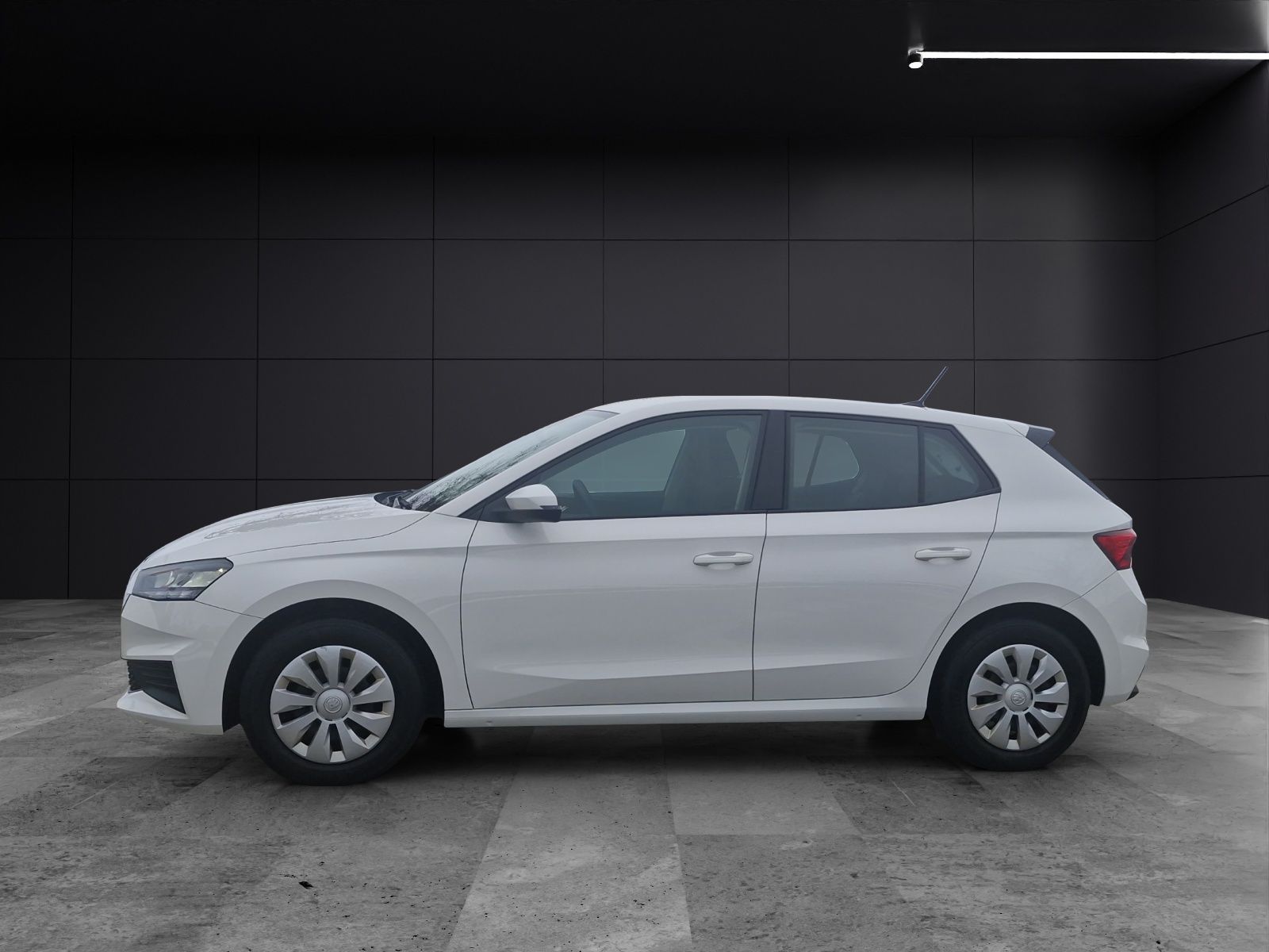 Fahrzeugabbildung SKODA Fabia Active 1.0 MPI DAB SH KLIMA