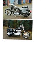 Harley-Davidson Sportster Custom 1200 - HARLEY-DAVIDSON 2005 SPORTSTER 1200