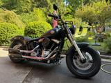 Harley-Davidson Softail Slim FLS - Offers
