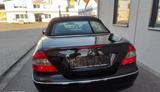 Mercedes-Benz CLK 500 CLK Cabrio CLK 500 - Mercedes-Benz CLK-Class aus 2005
