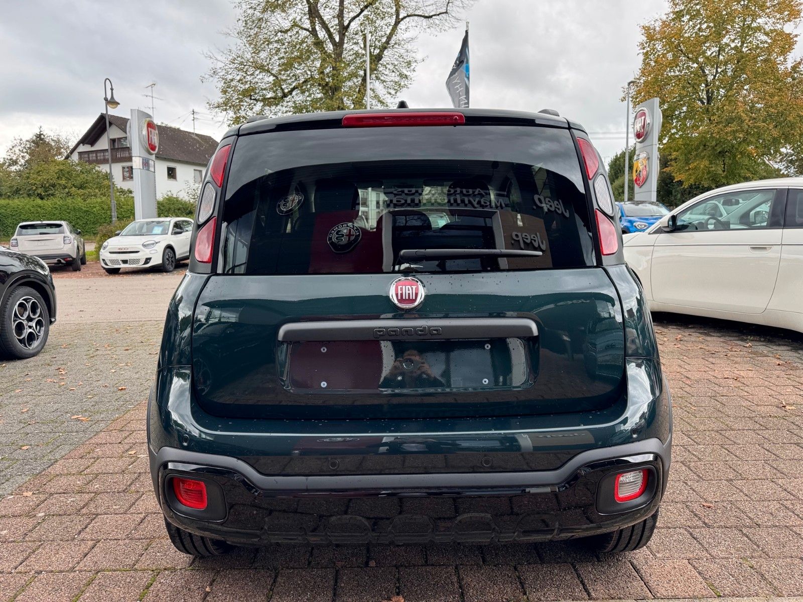 Fahrzeugabbildung Fiat Panda Pandina Cross Hybrid 1.0 GSE 70PS Grün