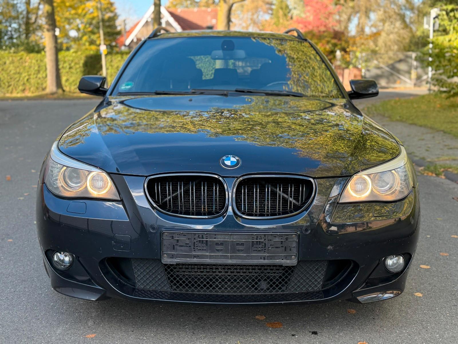 BMW 520 2009 — вигляд ззаду
