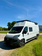 Fiat Ducato MAXI L5H3 Wohnmobil Selbstausbau  - Offers matching your search criteria