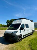Fiat Ducato MAXI L5H3 Wohnmobil Selbstausbau  - Offers matching your search criteria