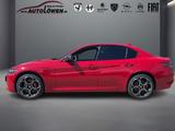 Alfa Romeo Giulia 2.0 Turbo 16V Competizione Q4 (EURO 6d) - Alfa Romeo: Rot