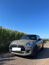 MINI Cooper CHILI - Mini Cooper von privat