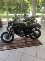 Mash Black Seven 125 - MASH BLACK SEVEN