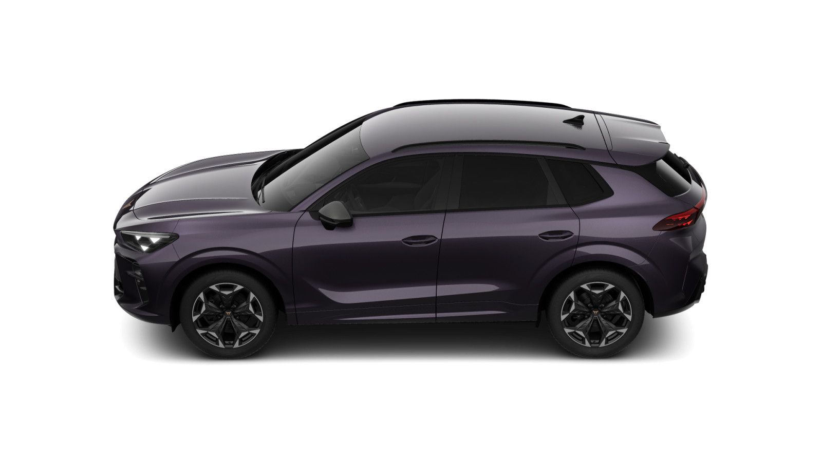 Cupra Terramar - Bild 5
