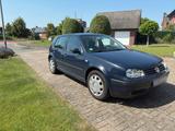 Volkswagen Golf IV 1,4 - Volkswagen Golf aus 2001: Iv