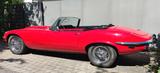 Jaguar E-Type Cabriolet V12 Serie III, Bj. 1971 - Jaguar E-Type: Cabrio, V12