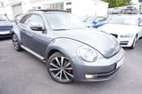 Volkswagen Beetle 2.0 TSI Sport*Fender*Xenon*Pano*19Zoll*++ - Volkswagen Beetle: Sport