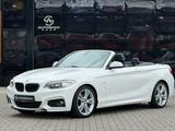 BMW Cabrio 220 d M Sport AUT/Bi-Xenon/LEDER - BMW 220 in Saarbrücken