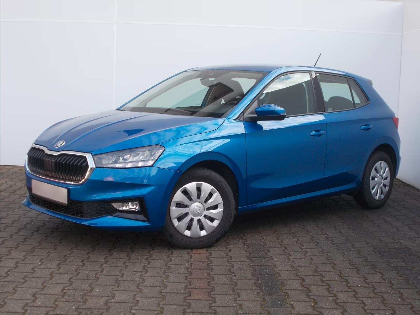 Skoda Fabia Selection 1.0 TSI AHK SHZ Kamera GRA