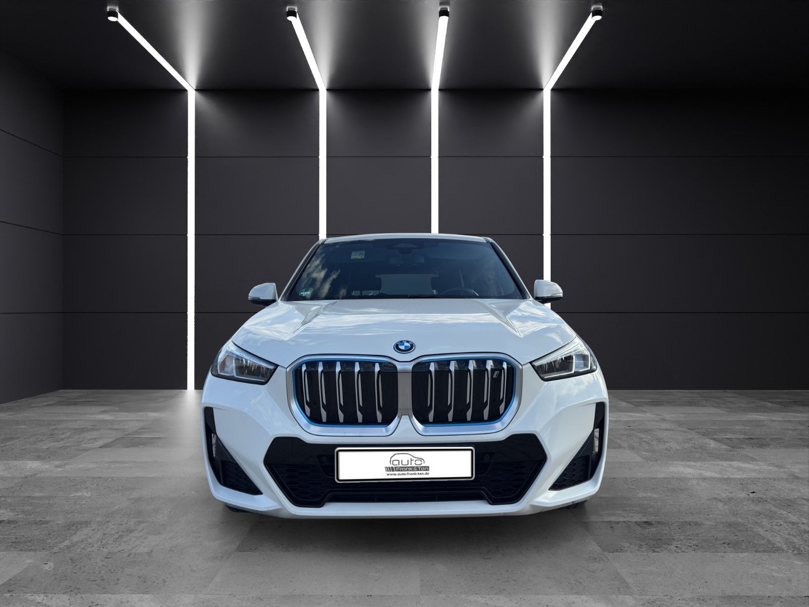 Fahrzeugabbildung BMW iX1 30 xDrive M Sport/Apple/Massage/Performance/