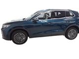 Volkswagen Tiguan 2.0 TDI Elegance 4M 5J-Garantie Standhzg  - Volkswagen Tiguan: Blau