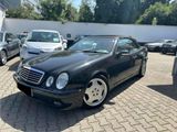 Mercedes-Benz CLK 230 AMG*Felge*Elegance*Elektr.Sitze*BOSE*Aut - Mercedes-Benz CLK 230 aus 2000