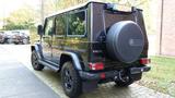 Mercedes-Benz G 350 d Professional - Mercedes-Benz G 350 in Hamburg