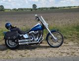 Harley-Davidson Softtail  Custom  - HARLEY-DAVIDSON SOFTTAIL