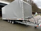 Wörmann Street-Mexx 3552/210 XXL - Offers matching your search criteria