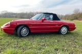 Alfa Romeo Spider - Alfa Romeo aus 1992