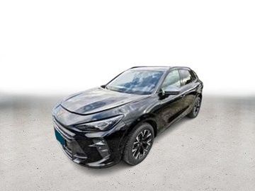Cupra Terramar - 2